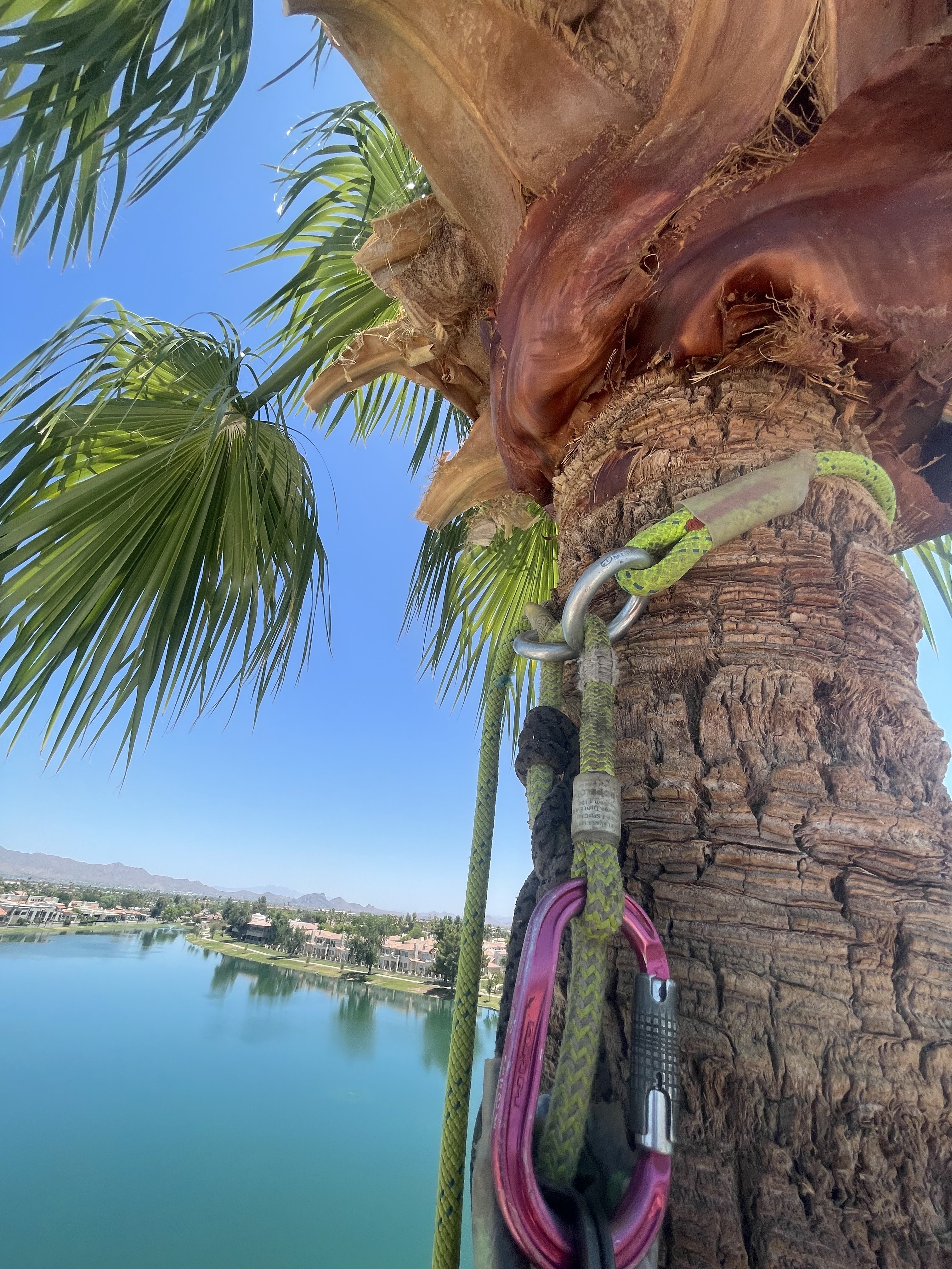 24/7 emergency tree services
